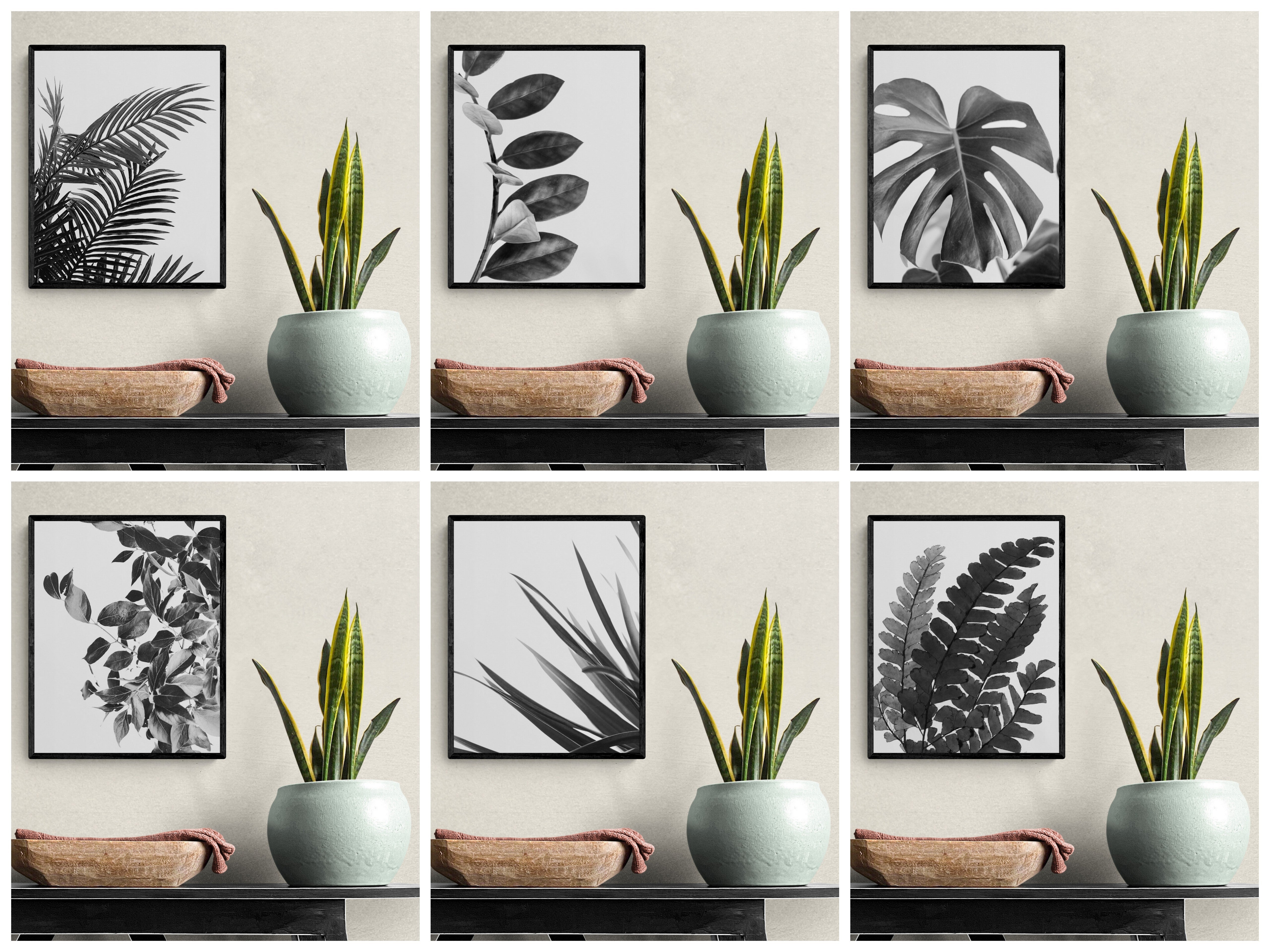 Botanical Wall Art Monochrome - Natural Plant Leaves - Home Decor - Set Of 6 Unframed - Rolled Prints | Canvas - Home Decor