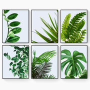 Green Botanical Wall Art - Tropical Plant Leaves - Home Decor Set of 6 Unframed - Rolled Prints | Canvas - Home Decor