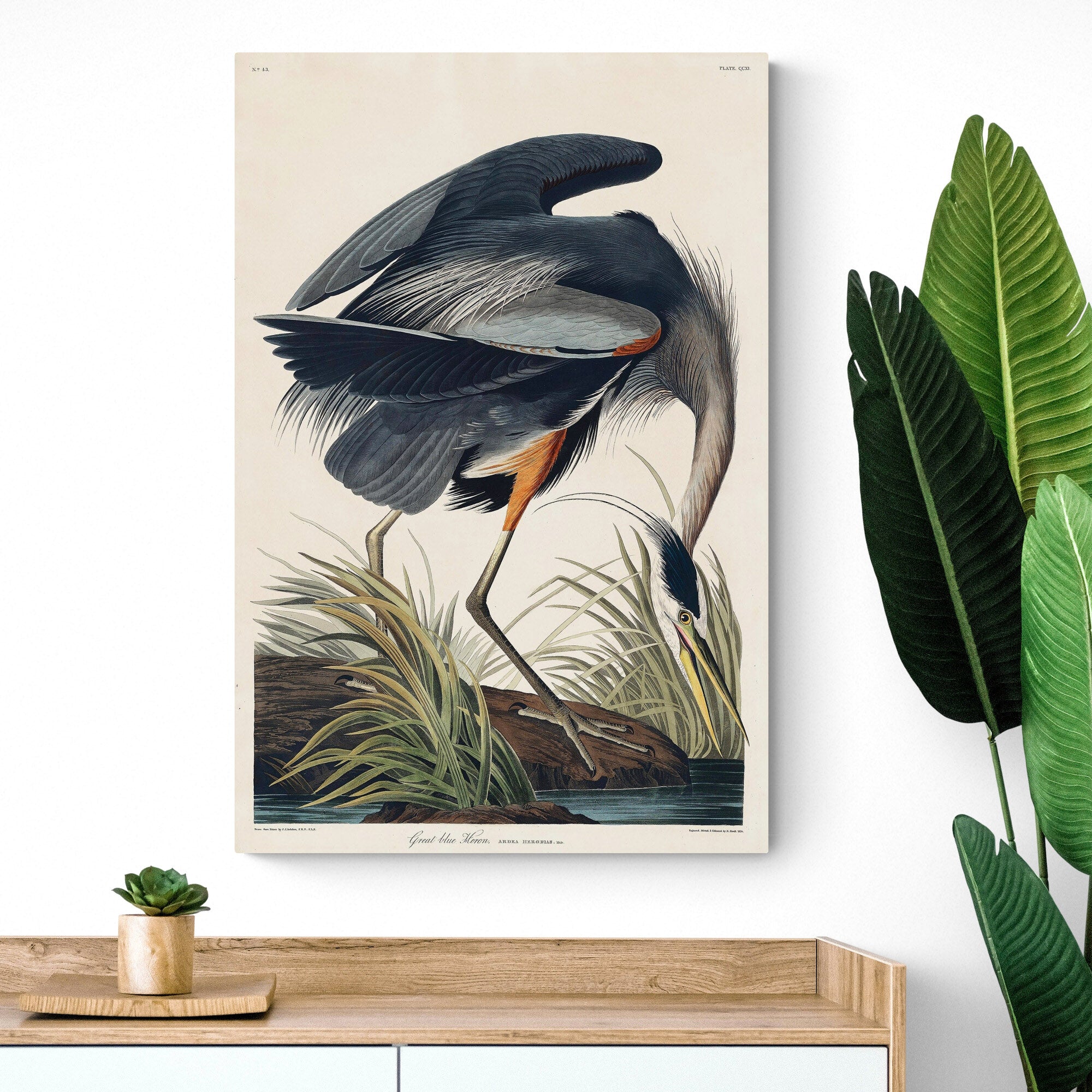 Birds Of America - Pink Flamingo - Great Blue Heron Set of 2 by John James Audubon - Canvas Wall Art Framed Prints - Various Sizes