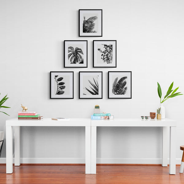 Botanical Wall Art Monochrome - Natural Plant Leaves - Home Decor - Set Of 6 Unframed - Rolled Prints | Canvas - Home Decor
