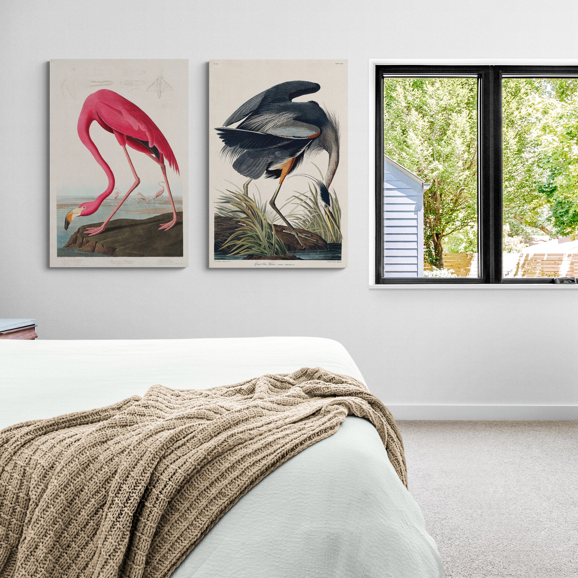 Birds Of America - Pink Flamingo - Great Blue Heron Set of 2 by John James Audubon - Canvas Wall Art Framed Prints - Various Sizes