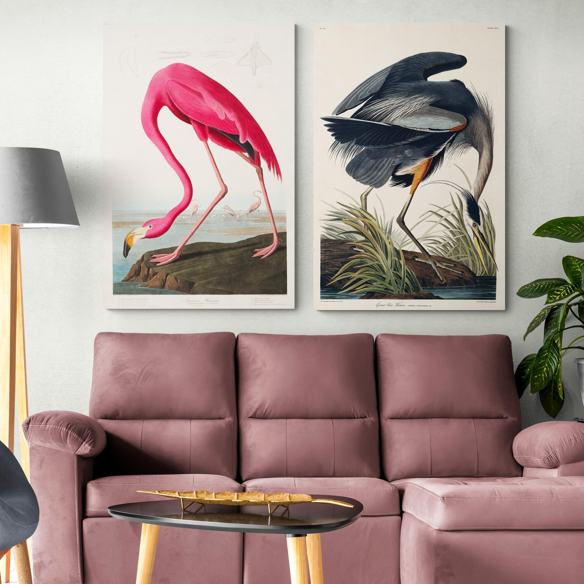 Birds Of America - Pink Flamingo - Great Blue Heron Set of 2 by John James Audubon - Canvas Wall Art Framed Prints - Various Sizes