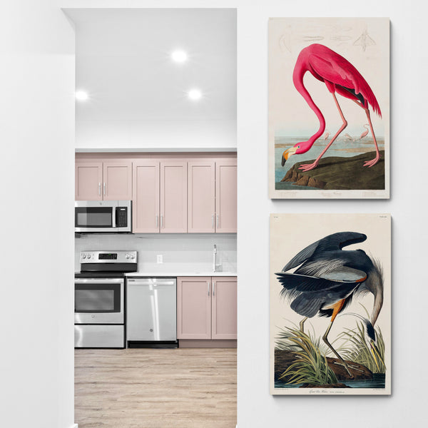Birds Of America - Pink Flamingo - Great Blue Heron Set of 2 by John James Audubon - Canvas Wall Art Framed Prints - Various Sizes