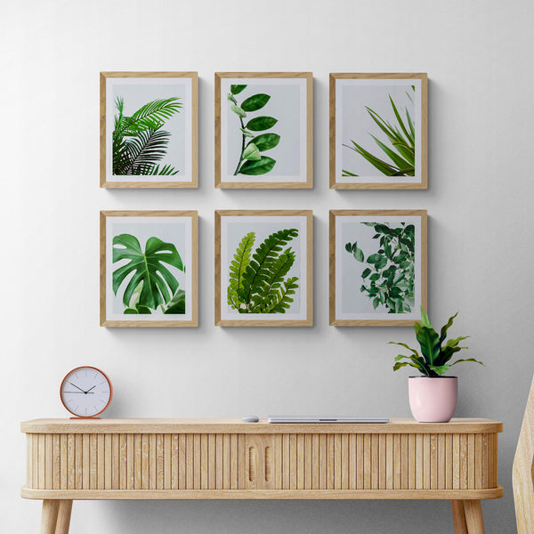 Green Botanical Wall Art - Tropical Plant Leaves - Home Decor Set of 6 Unframed - Rolled Prints | Canvas - Home Decor