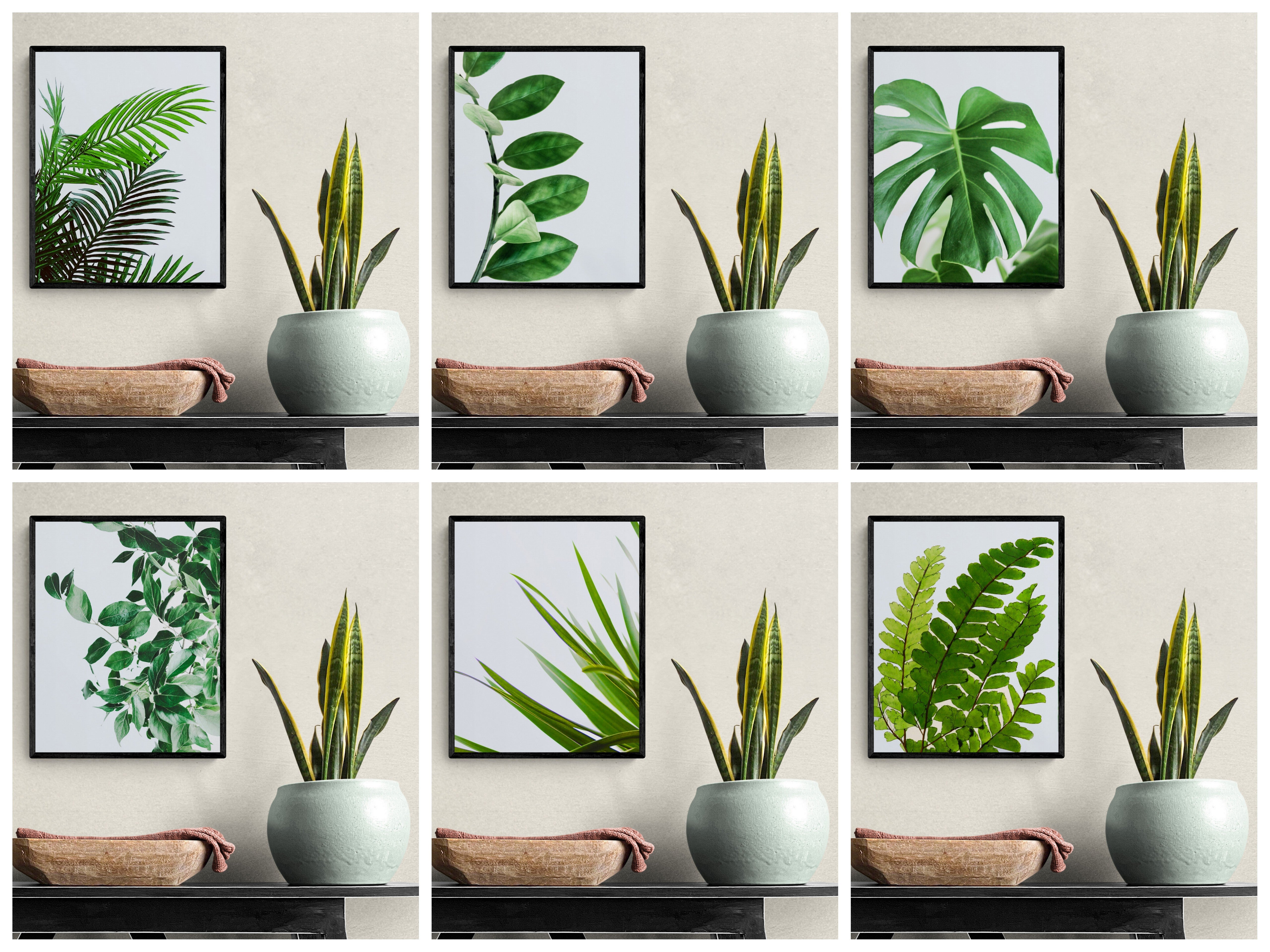 Green Botanical Wall Art - Tropical Plant Leaves - Home Decor Set of 6 Unframed - Rolled Prints | Canvas - Home Decor