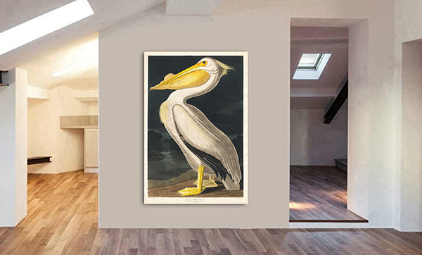 American White Pelican by John James Audubon - Canvas Wall Art Framed Print - Various Sizes
