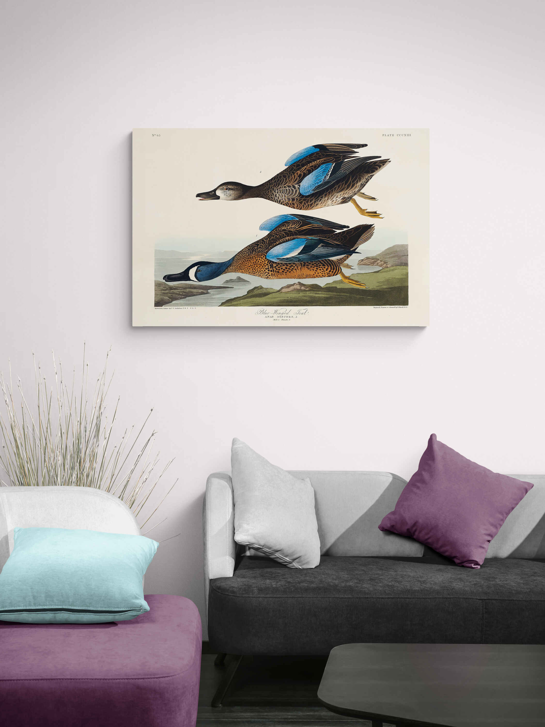 Blue-Winged Teal by John James Audubon - Canvas Wall Art Framed  Print - Various Sizes