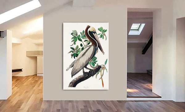 Brown Pelican by John James Audubon - Canvas Wall Art Framed  Print - Various Sizes