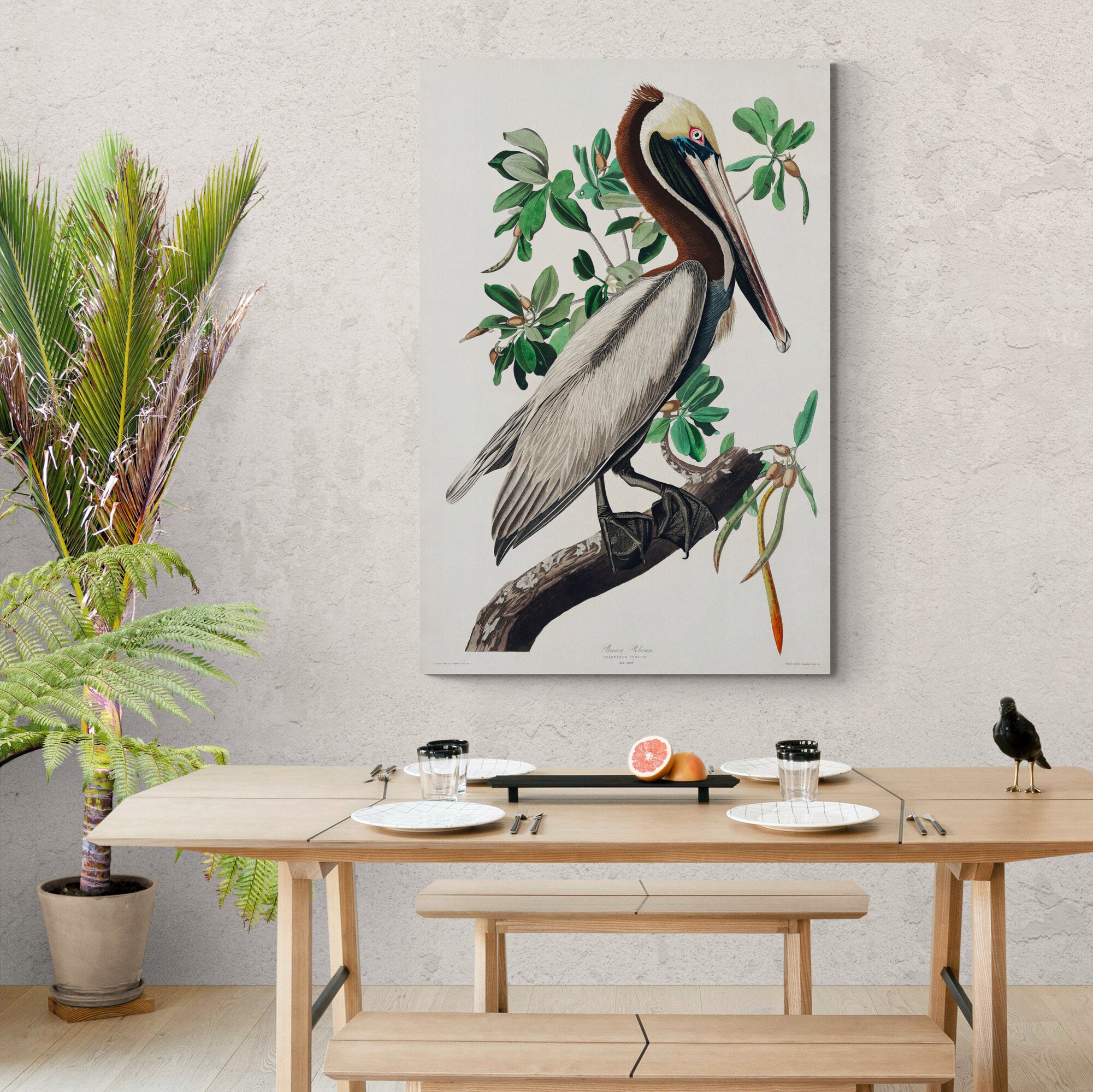 Brown Pelican by John James Audubon - Canvas Wall Art Framed  Print - Various Sizes