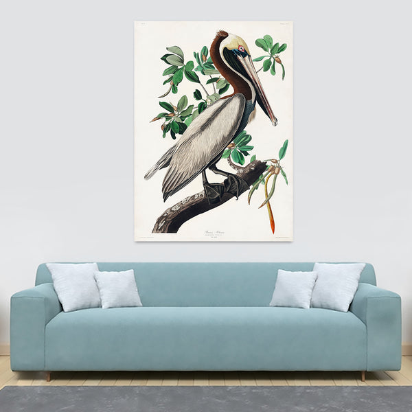 Brown Pelican by John James Audubon - Canvas Wall Art Framed  Print - Various Sizes