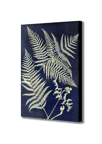 Eagle Fern - Abstract By Anna Atkins - Canvas Wall Art Framed Print - Various Sizes