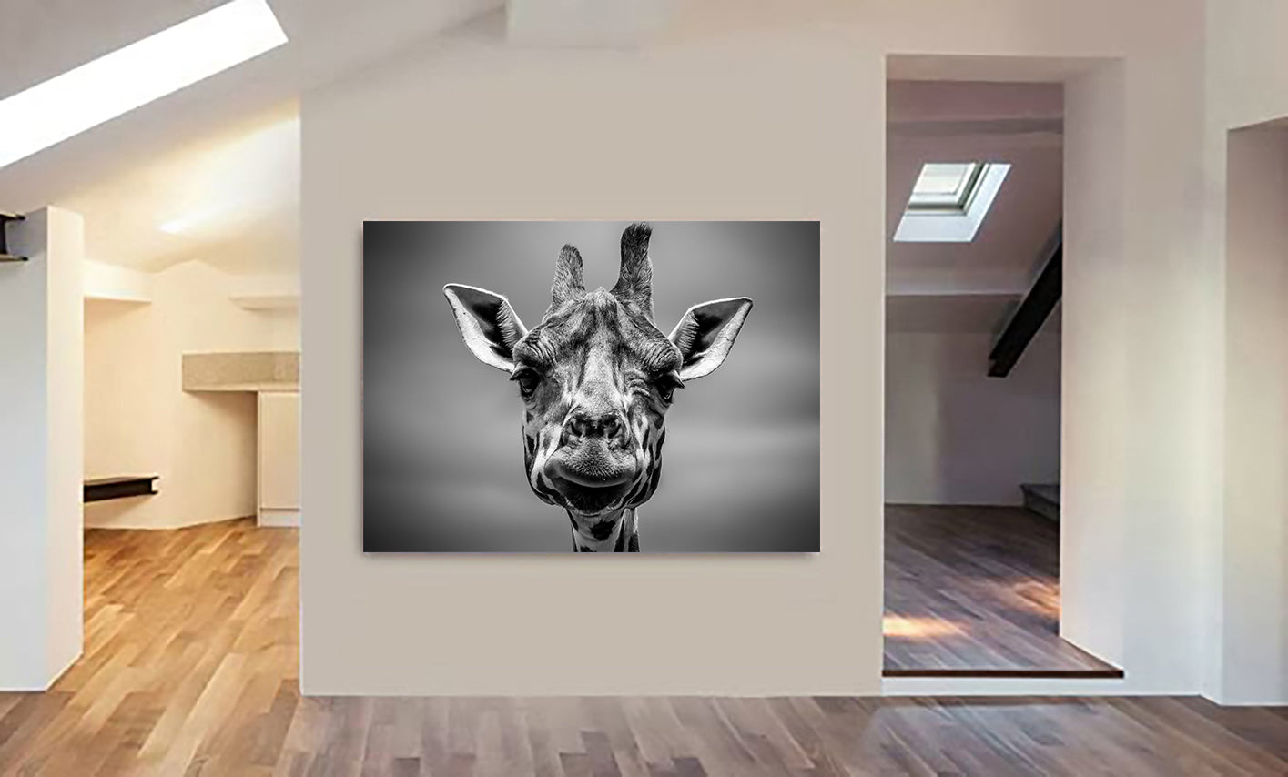 Giraffe Head In Monotone - Canvas Wall Art Framed Print - Various Sizes
