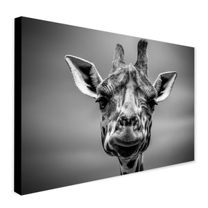 Giraffe Head In Monotone - Canvas Wall Art Framed Print - Various Sizes
