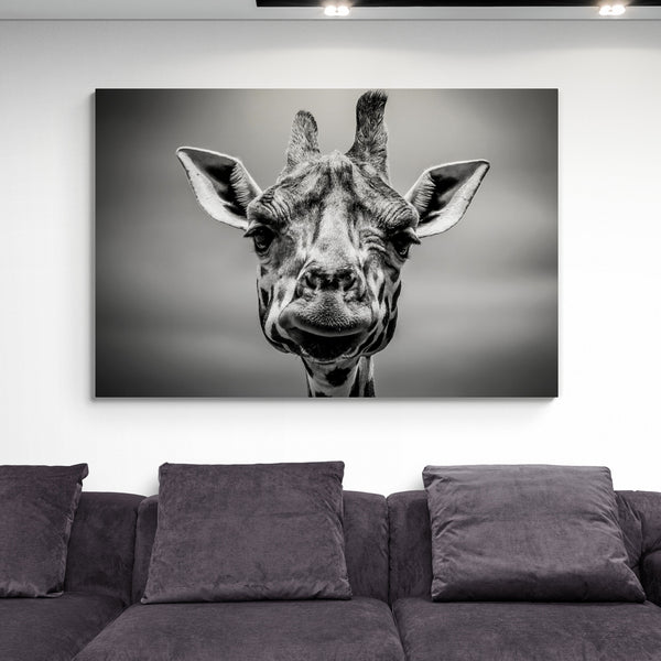 Giraffe Head In Monotone - Canvas Wall Art Framed Print - Various Sizes