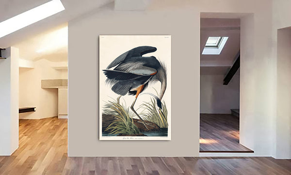 Great Blue Heron by John James Audubon - Canvas Wall Art Framed  Print - Various Sizes