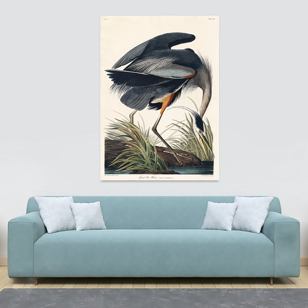Great Blue Heron by John James Audubon - Canvas Wall Art Framed  Print - Various Sizes