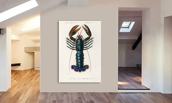 Lobster - Vintage by Charles Dessalines D' Orbigny - Canvas Wall Art Framed Print - Various Sizes