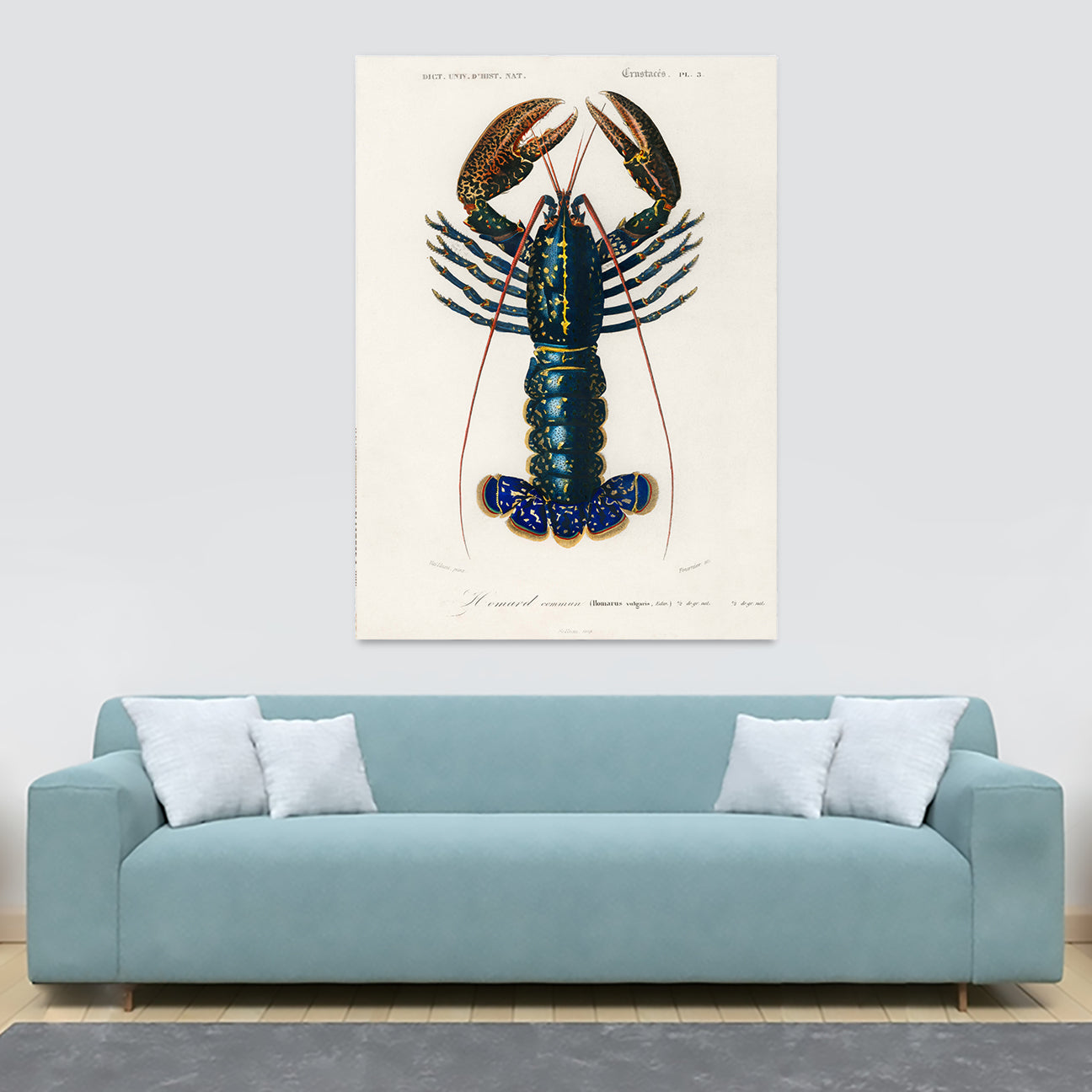 Lobster - Vintage by Charles Dessalines D' Orbigny - Canvas Wall Art Framed Print - Various Sizes