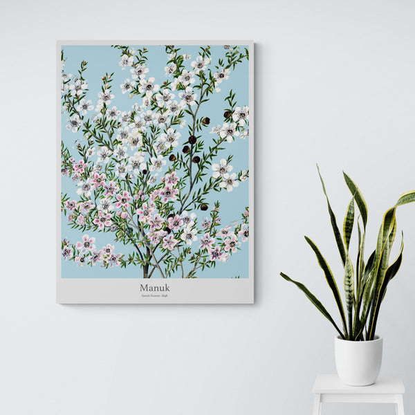 Manuk Flower by Sarah Featon - Canvas Wall Art Framed Print - Various Sizes