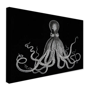 Octopus Vintage Art - Black And White - Canvas Wall Art Framed Print - Various Sizes