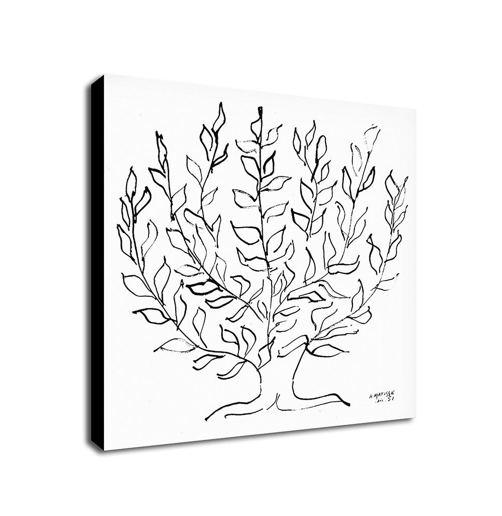 Plain Tree - Black And White by Matisse - Framed Canvas Wall Art Print - Various Sizes