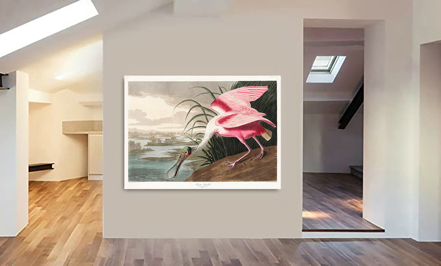 Roseate Spoonbill by John James Audubon - Canvas Wall Art Framed  Print - Various Sizes