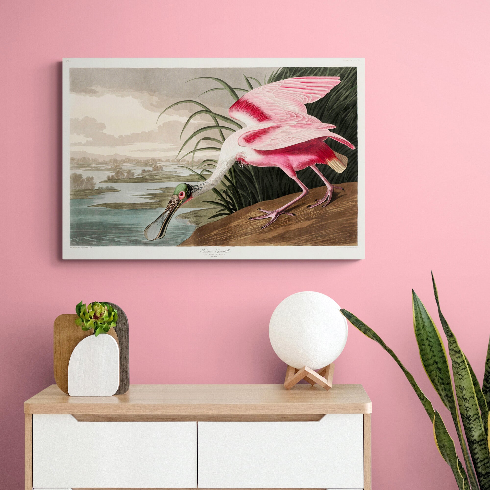 Roseate Spoonbill by John James Audubon - Canvas Wall Art Framed  Print - Various Sizes