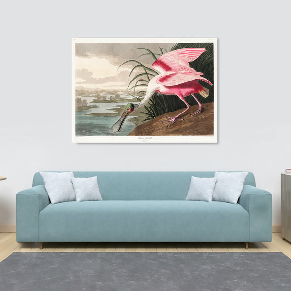 Roseate Spoonbill by John James Audubon - Canvas Wall Art Framed  Print - Various Sizes