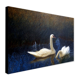 Swans in Reeds (1907) by Bruno Liljefors - Canvas Wall Art Framed  Print - Various Sizes