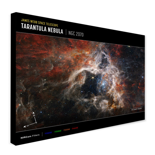 James Webb Space Telescope - Tarantula Nebula (NIRCam Compass Image) Wall Art - Canvas Wall Art Framed Print - Various Sizes