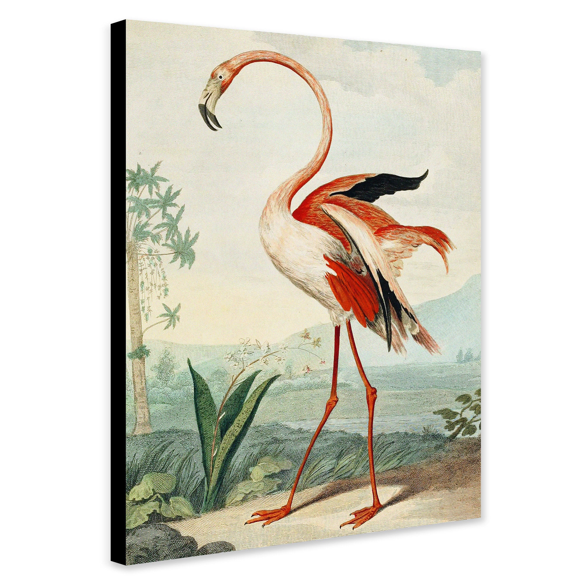 The Flamingo Vintage Art By Charles R Ryley - Canvas Wall Art Framed  Print - Various Sizes