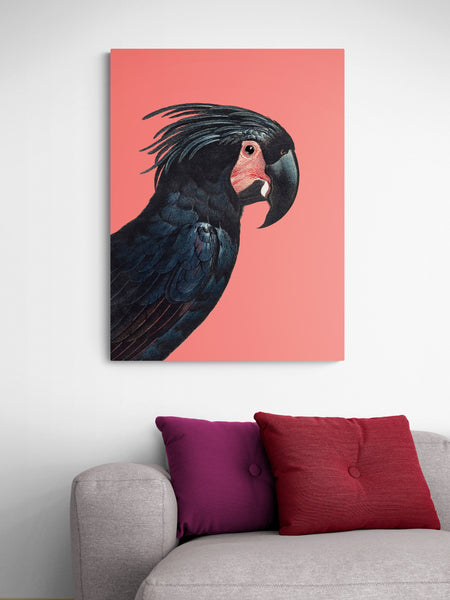 The Palm Cockatoo by Francois Levaillan - Canvas Wall Art Framed Print - Various Sizes