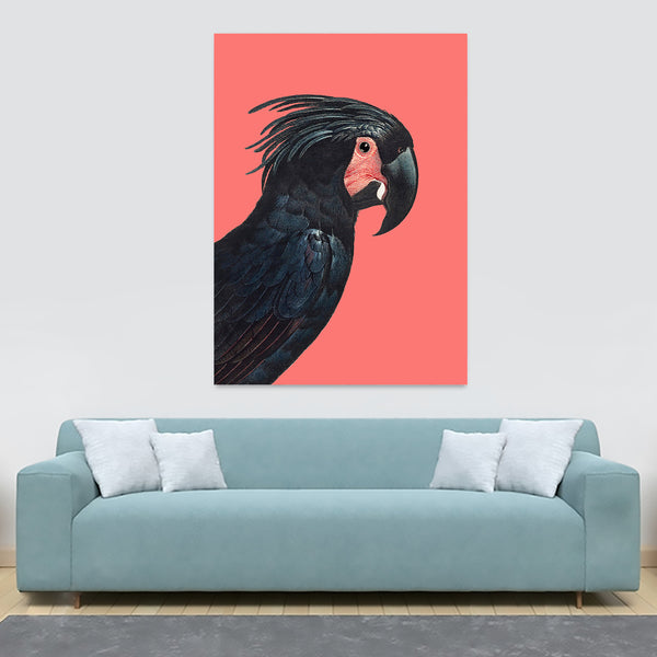 The Palm Cockatoo by Francois Levaillan - Canvas Wall Art Framed Print - Various Sizes