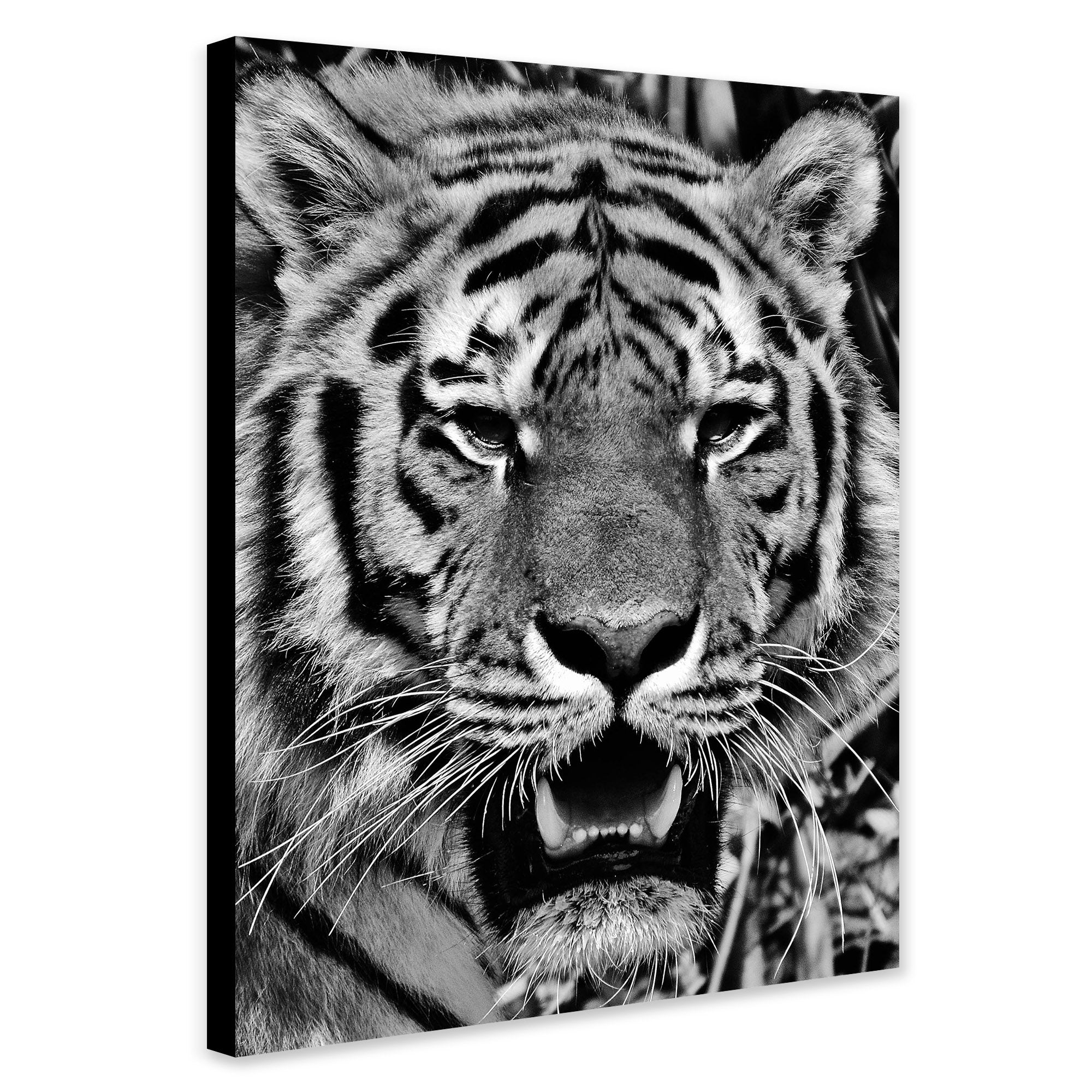 Tigers Head - Monochrome - Canvas Wall Art Framed Print - Various Sizes