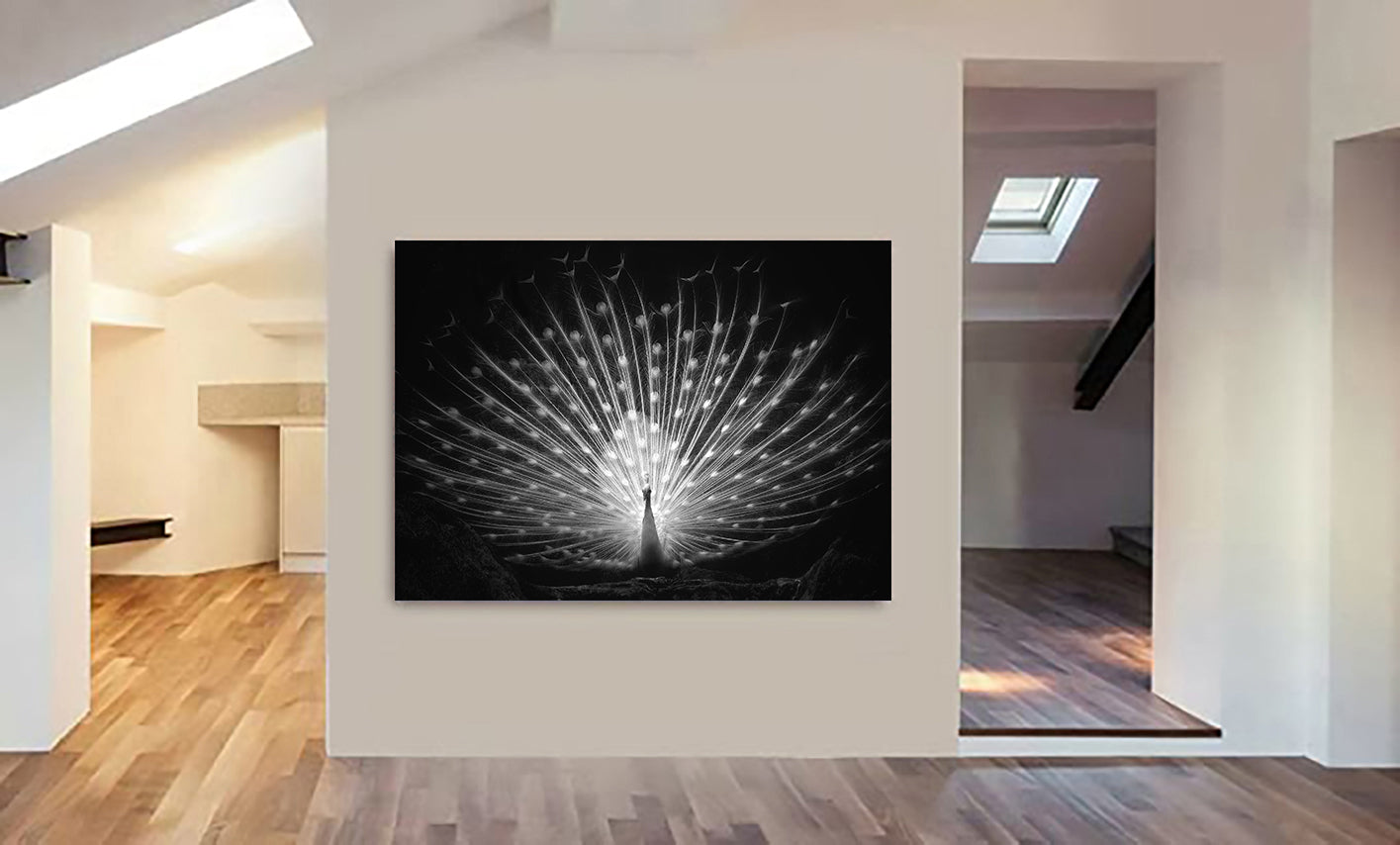 White Peacock - Black and White - Modern Wall Art - Canvas Wall Art Framed Print - Various Sizes