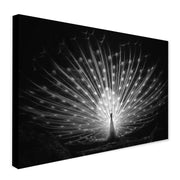 White Peacock - Black and White - Modern Wall Art - Canvas Wall Art Framed Print - Various Sizes
