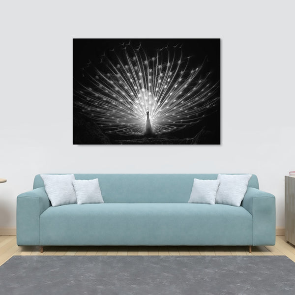 White Peacock - Black and White - Modern Wall Art - Canvas Wall Art Framed Print - Various Sizes