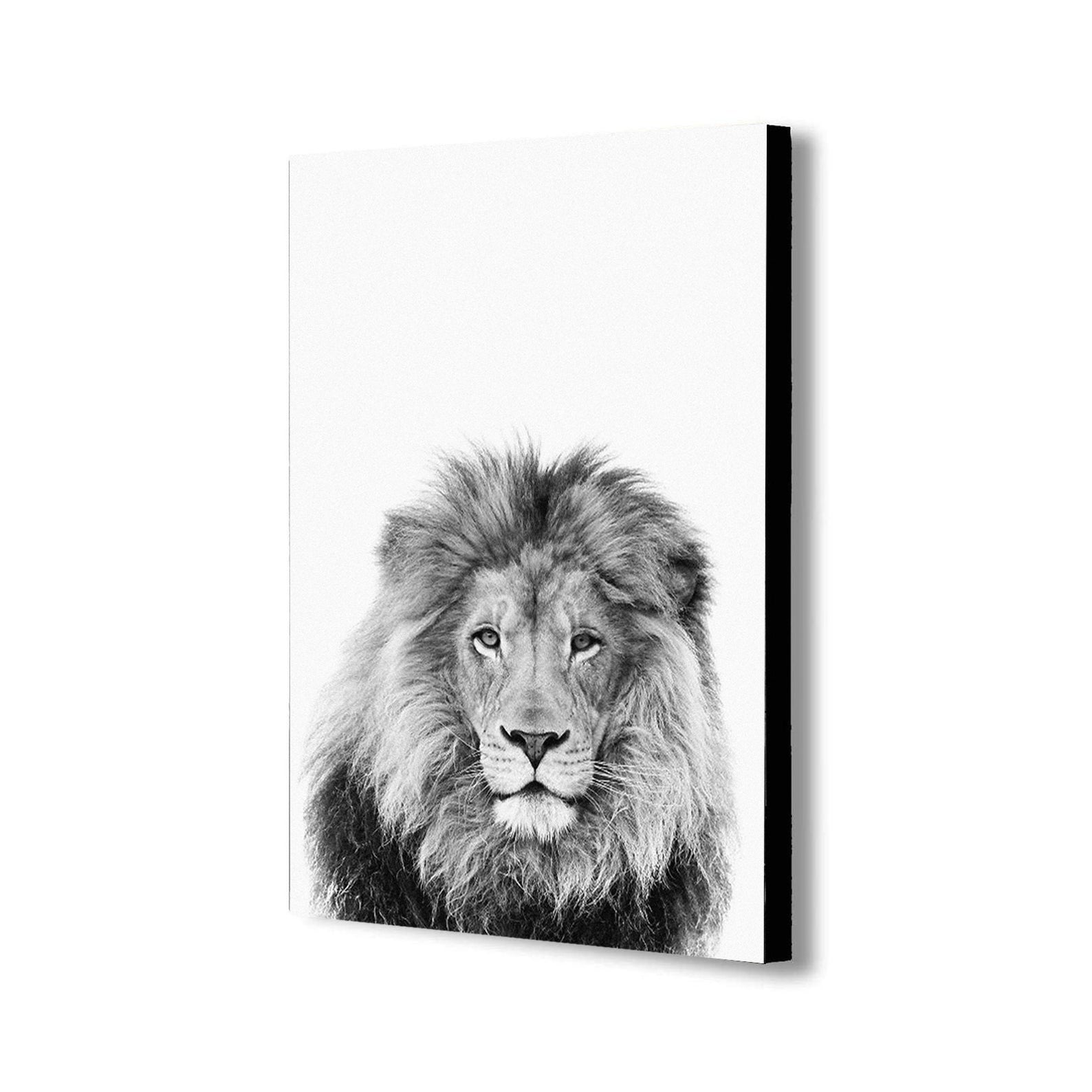 Wild Lion - Black And White - Canvas Wall Art Framed Print - Various Sizes