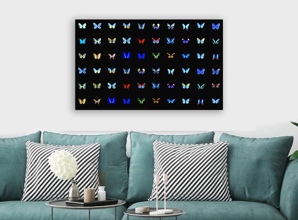 Butterfly Collage Multicolour - Canvas Wall Art Framed Print - Various Sizes