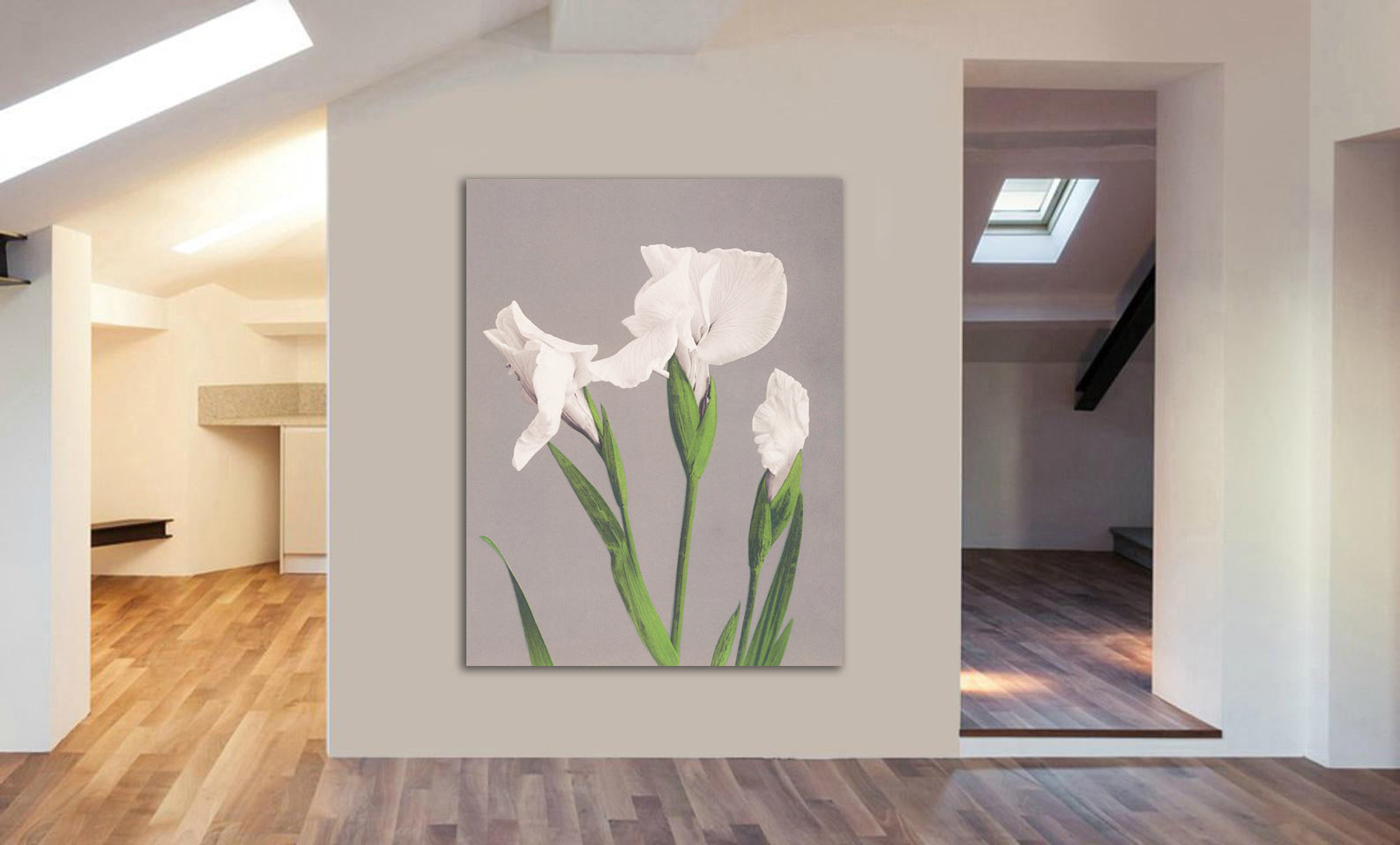 White Irises by Ogawa Kazumasa - Japanese - Canvas Wall Art Framed Print - Various Sizes