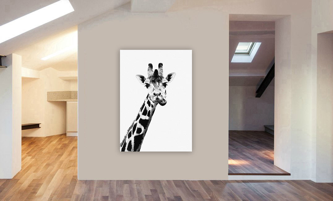 Giraffe Chewing - Funny - Canvas Wall Art Framed Print - Various Sizes