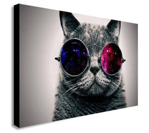 Cool Cat Canvas Wall Art Framed Print - Various Sizes