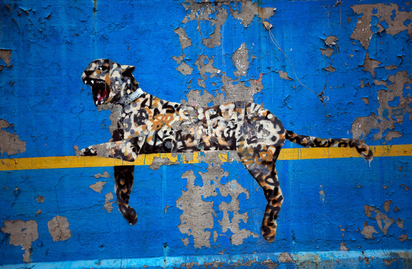 Banksy Bronx Zoo Leopard Modern Wall Art Canvas Print Framed - Various sizes