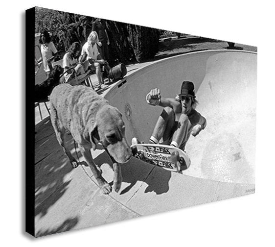 Dogtown and Z Boys Skateboarding - Canvas Wall Art Framed Print - Various Sizes