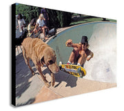 Dogtown and Z Boys Skateboarding in Colour - Canvas Wall Art Framed Print - Various Sizes