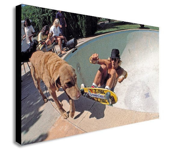 Dogtown and Z Boys Skateboarding in Colour - Canvas Wall Art Framed Print - Various Sizes