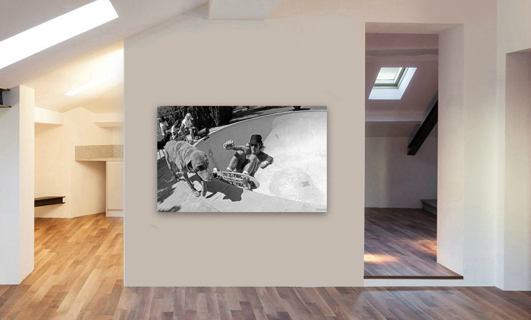 Dogtown and Z Boys Skateboarding - Canvas Wall Art Framed Print - Various Sizes