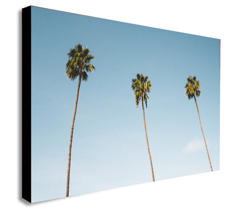 Three Palm Trees -  Canvas Wall Art Framed Print - Various Sizes