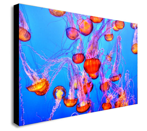 Jelly Fish Colourful - Canvas Wall Art Framed  Print - Various Sizes