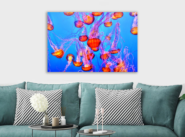 Jelly Fish Colourful - Canvas Wall Art Framed  Print - Various Sizes